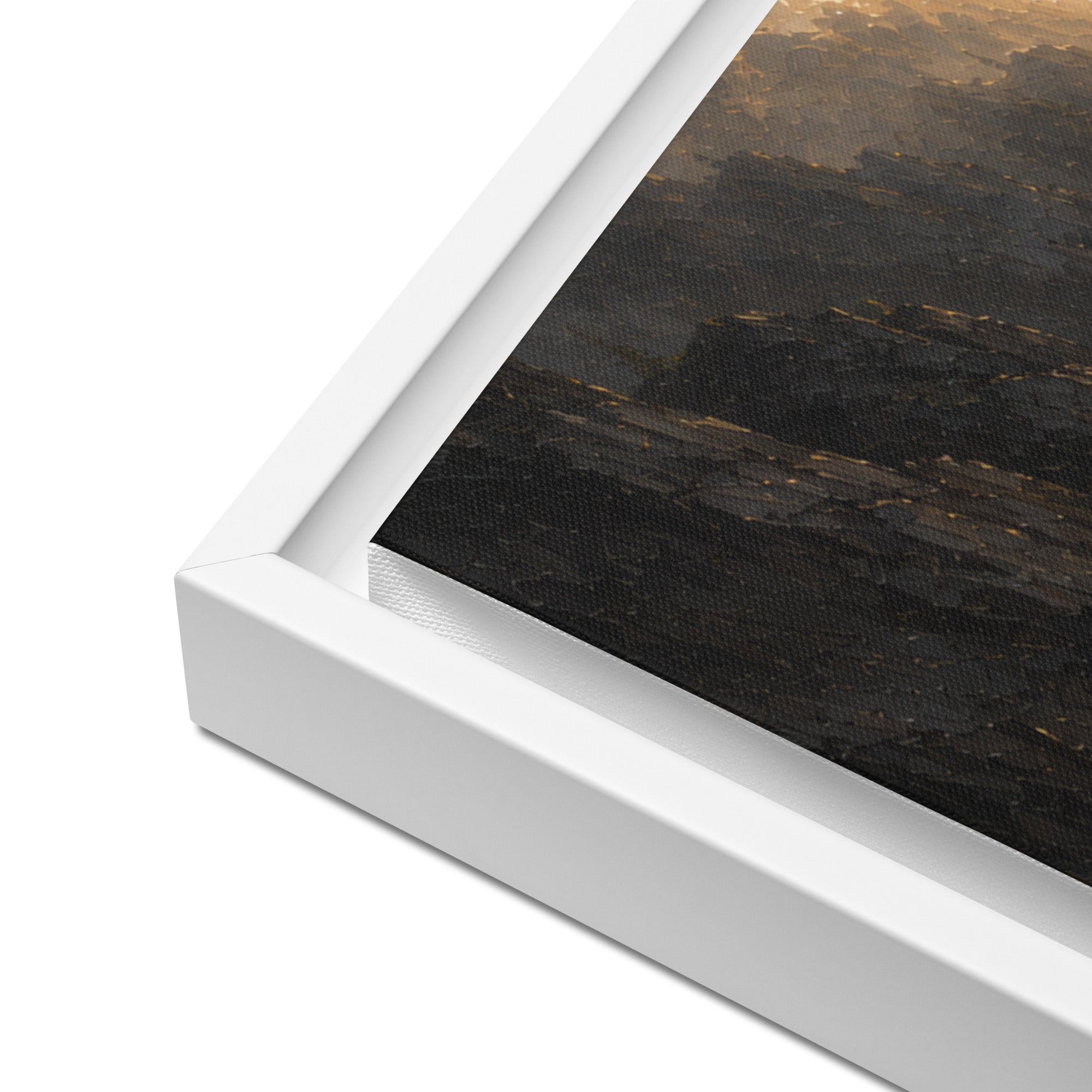 Through The Valley | Canvas