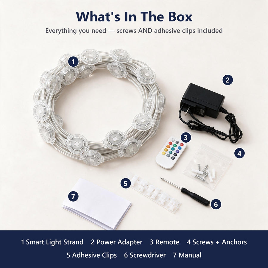 What's in the box
