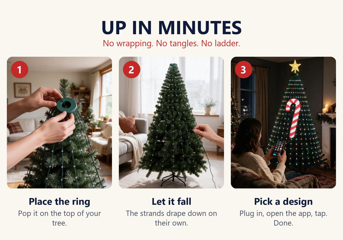 Set up Yulora in 3 steps
